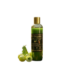 Bottle of 'A to Z Organics' shampoo with green leaves and fruits on a white background